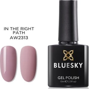 Bluesky Gellak AW2313 In the right path