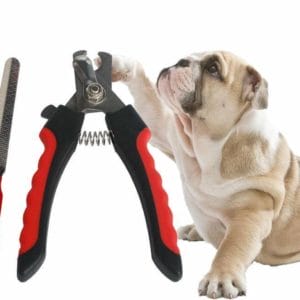 Nagelknipper en vijl voor dieren (hond, konijn, kat)