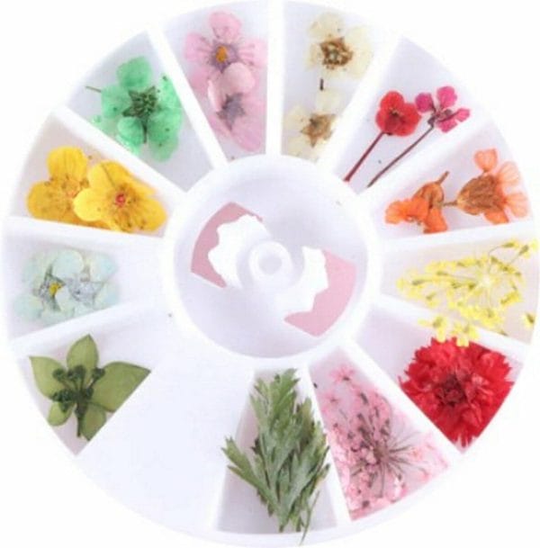 Nail art gedroogde bloemen - Nagels - Bloemen - Versiering nagels - Bloemen nailart - Multi - Nageldecoratie -