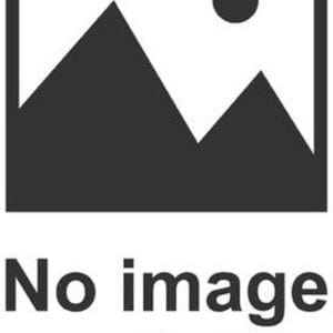 Penseel Essence Nail Art Dubbel Nagels