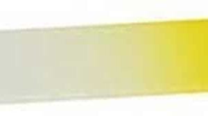 Regenboog Manicure Glasvijl Oranje 14 cm.