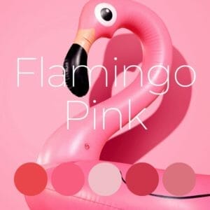 Smart Gellak | Flamingo Pink | Gellak Kleurenset | 5 stuks