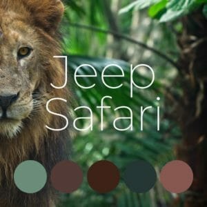 Smart Gellak | Jeep Safari | Gellak Kleurenset | 5 stuks