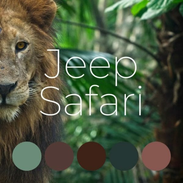 Smart gellak | jeep safari | gellak kleurenset | 5 stuks